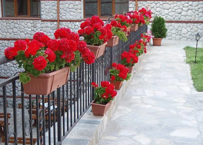 Pirin River Ski, Fun And Family